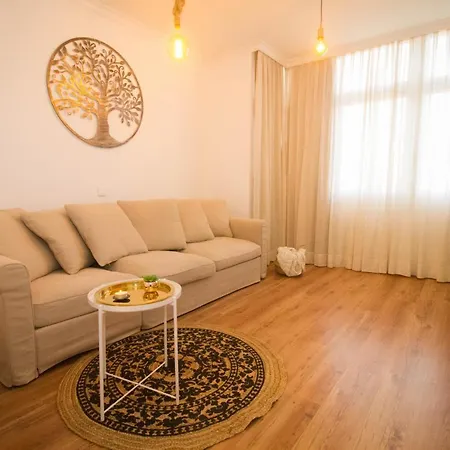 Zone Apartment